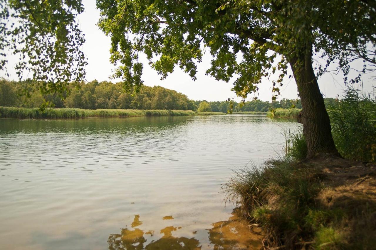 Hospoda-Ferienhaus Am Olba-See Malschwitz Kültér fotó